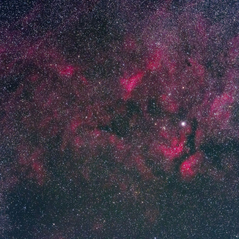 白鳥座 サドル付近