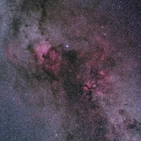 白鳥座　散光星雲