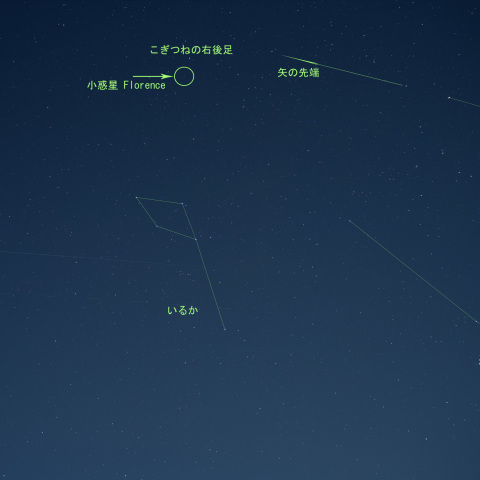 小惑星 フローレンス