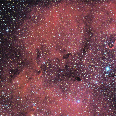 IC1396, vdB142, 象の鼻＆ガーネットスター