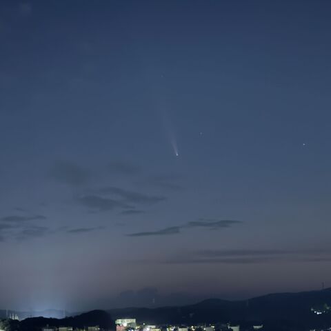 紫金山・アトラス彗星