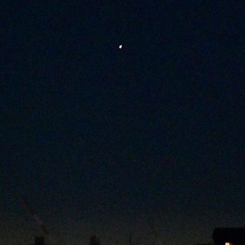 東京23区から撮ったカノープス