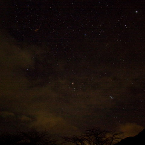 しし座流星群の流星痕