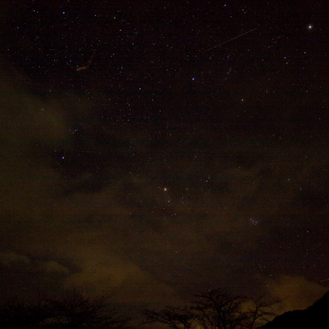 しし座流星群の流星痕