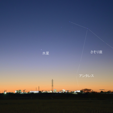 朝焼けに昇る水星