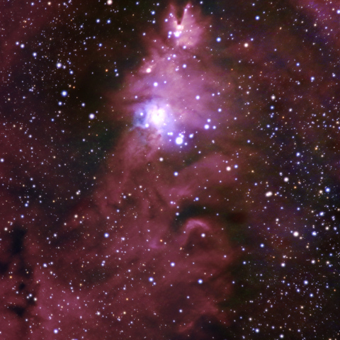 NGC2264 クリスマスツリー星団
