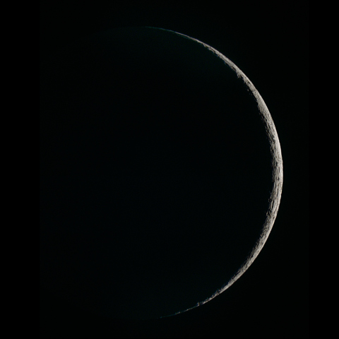 4/29の月　月齢1.6