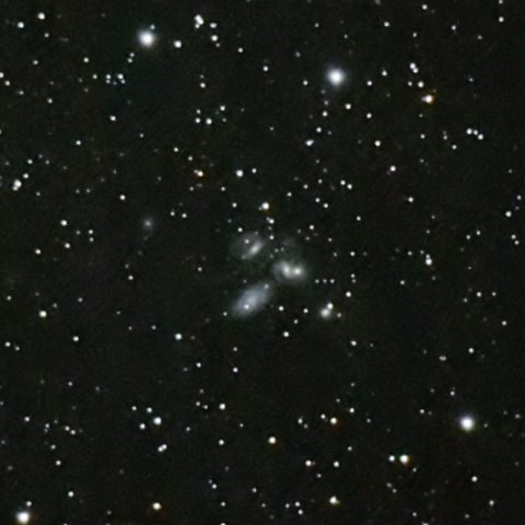 ステファンの五つ子