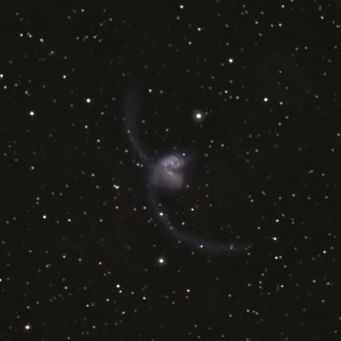 NGC4038/4039 アンテナ銀河