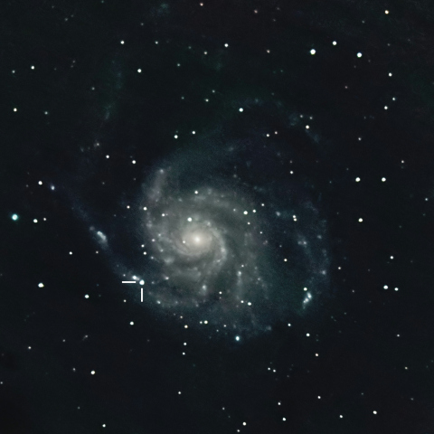 M101の超新星SN2023ixf