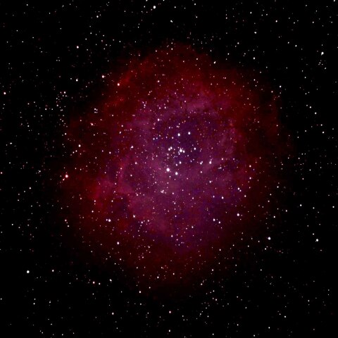 年末の薔薇星雲