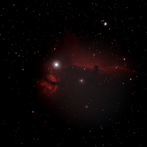 1月3日の馬頭星雲