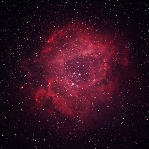 SV405CCファーストライト（薔薇星雲）