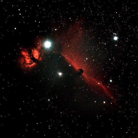 No.356 星 宙「巨木」F20（727×606mm）原画 63670: 木星 2020年8月3日 by garakabao - 天体写真ギャラリー