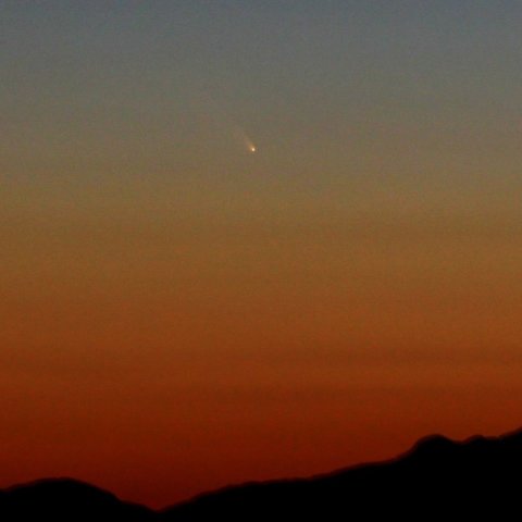 パンスターズ彗星