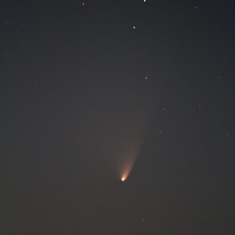 パンスターズ彗星(3月21日)