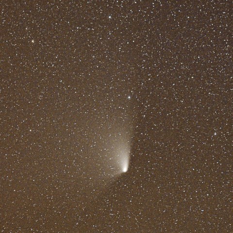 パンスターズ彗星（4月14日未明）