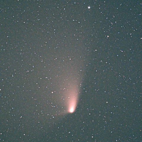 パンスターズ彗星（4月14日未明）　その２