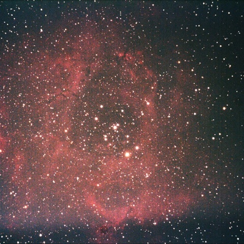 バラ星雲（光害地）