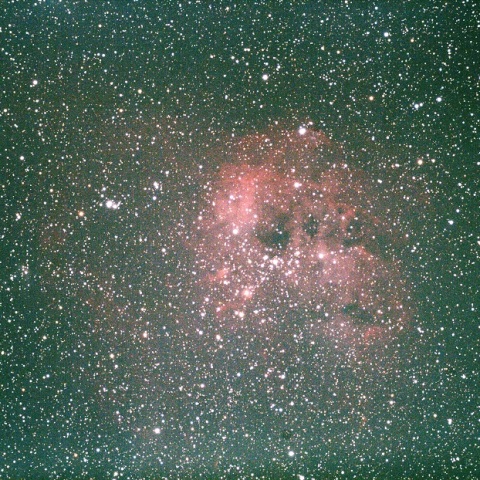 IC410（おたまじゃくし星雲）