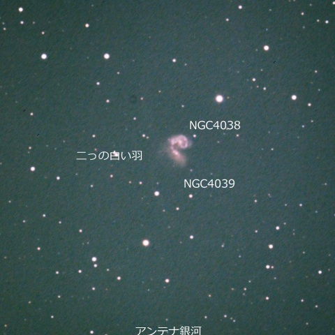 触角銀河（NGC4038＆NGC4039）