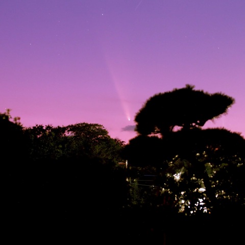 庭先～見えた紫金山・アトラス彗星