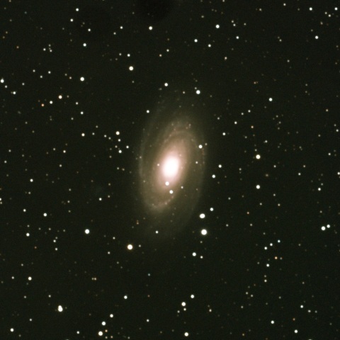 M81