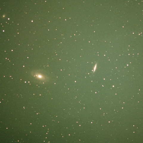 M81