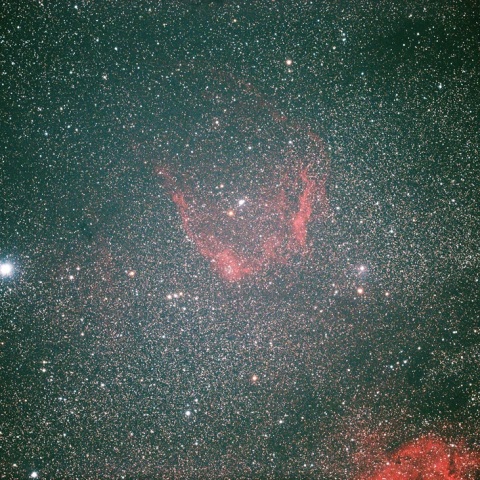 フラィングバット星雲(sh2-129)
