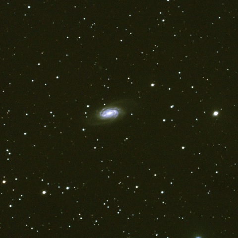 NGC2903
