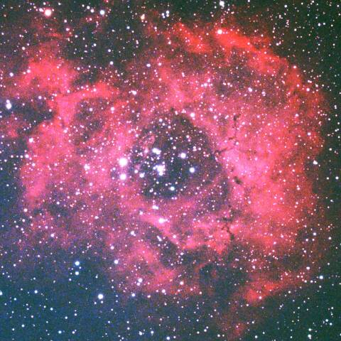 ばら星雲（NGC2237）