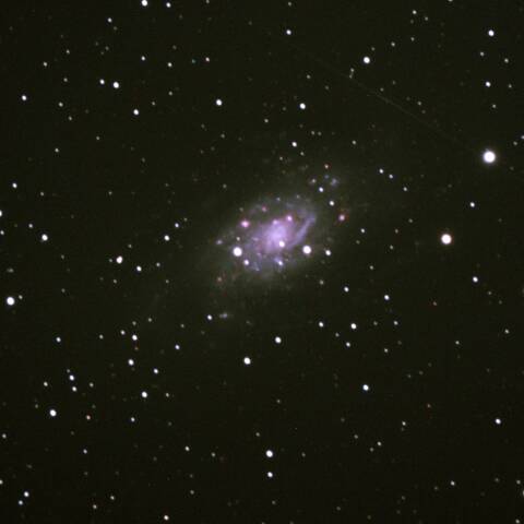 NGC2403渦巻銀河