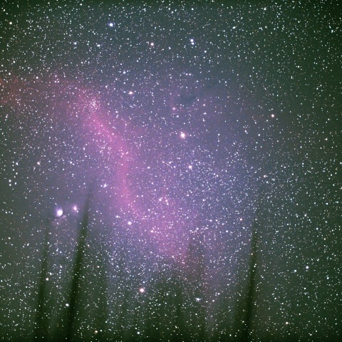 地平線～バーナードループ