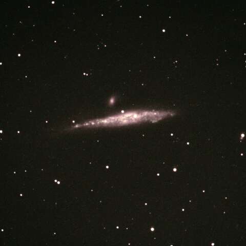 NGC4631（クジラ銀河）
