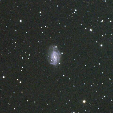 NGC3726(棒渦巻銀河）