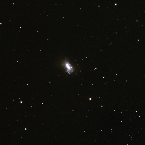 北のマゼラン星雲（NGC4440)
