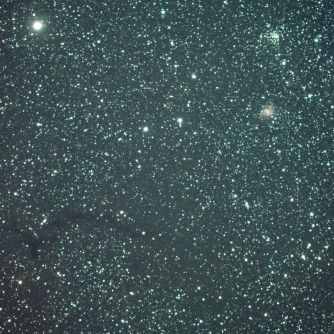 タツノオトシゴ星雲付近