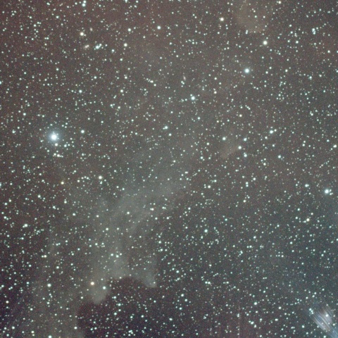 IC2118魔女横顔