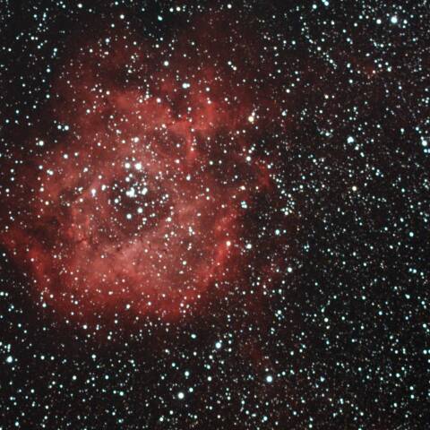 ばら星雲（NGC2237)