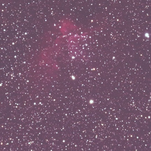 ケフェウス座の鳳凰星雲