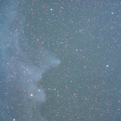 魔女の大きい横顔