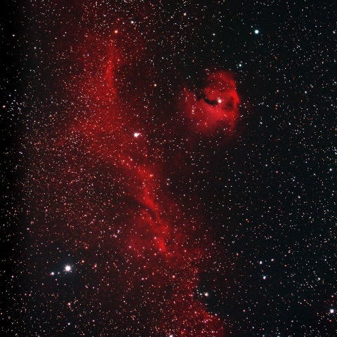 いっかくじゅう座のカモメ星雲