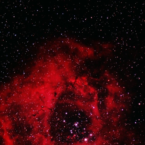 いっかくじゅう座の薔薇星雲