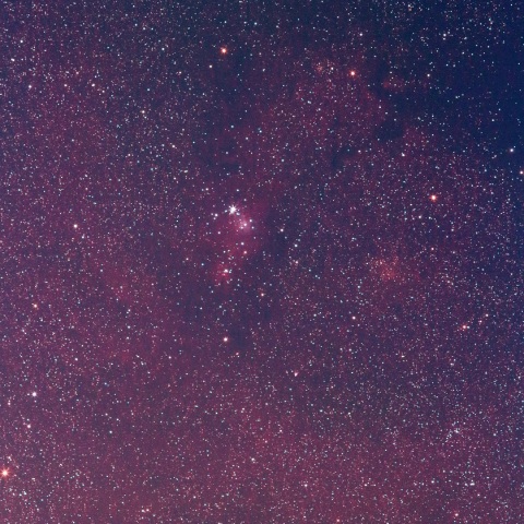 クリスマスツリー星団附近