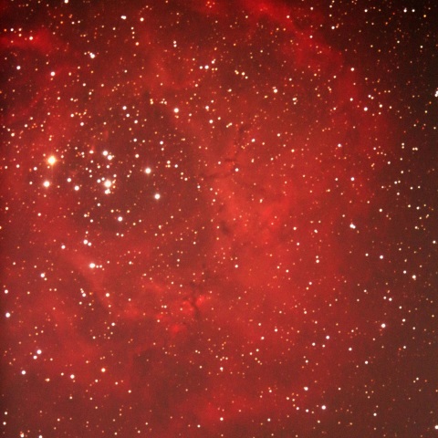 光害地でのいっかくじゅう座の薔薇星雲