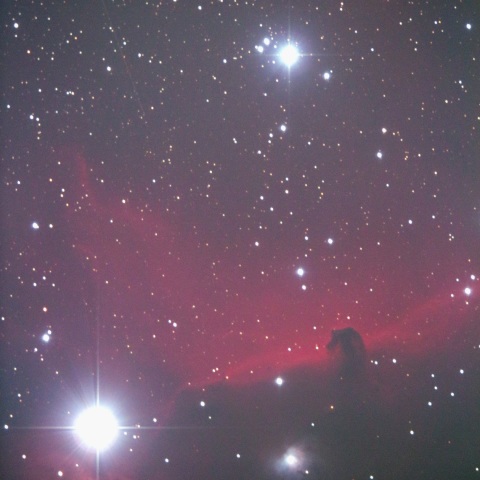 光害地、オリオン座の馬頭星雲