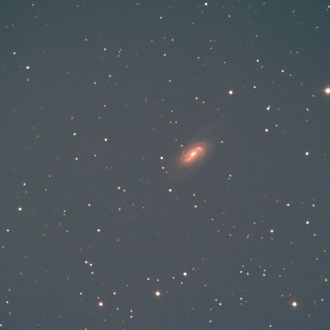 光害地でのしし座NGC2903