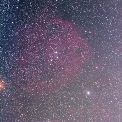 エンゼルフィッシュ星雲