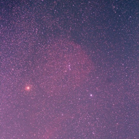 50mmによるエンゼルフィッシュ星雲