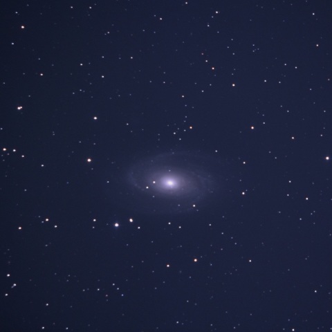 おおぐま座のＭ81
